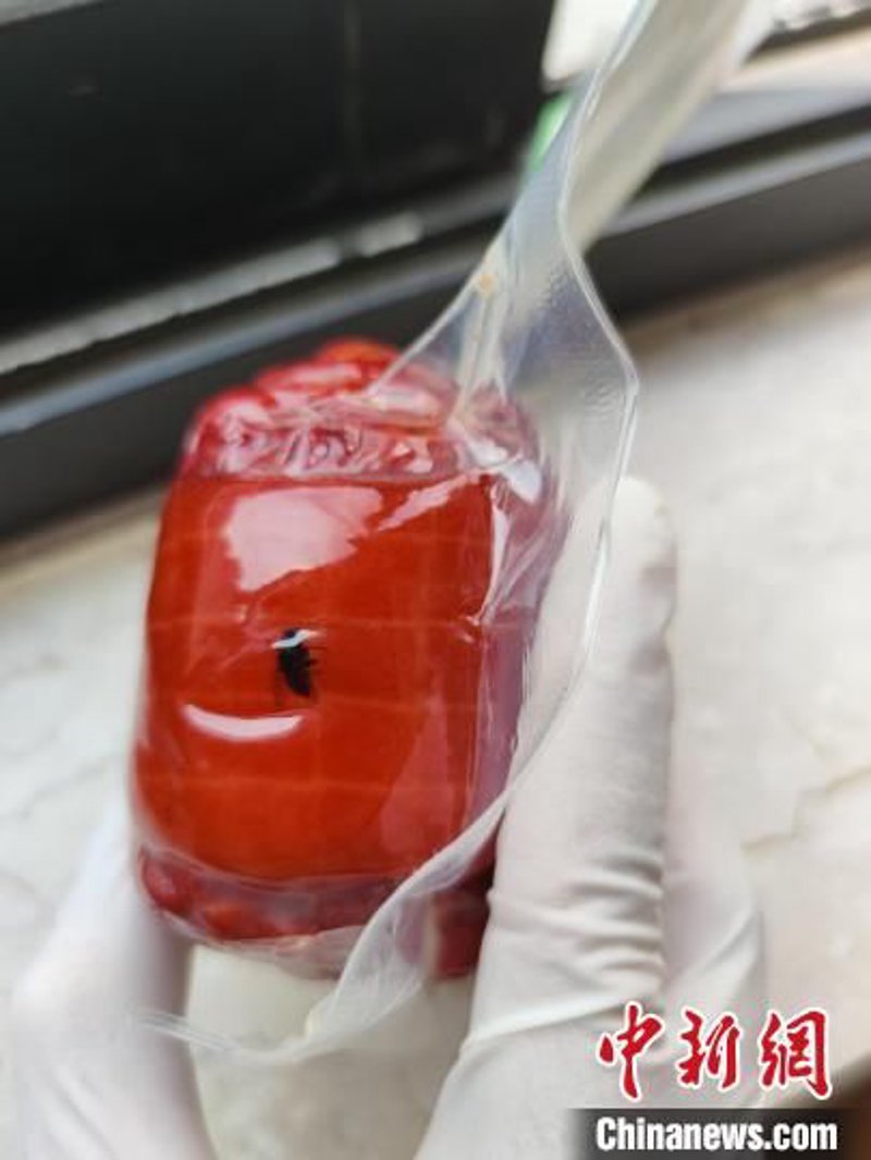 真空包装技术助力食品产业高质量发展